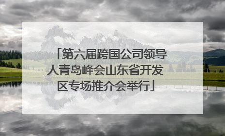 第六届跨国公司领导人青岛峰会山东省开发区专场推介会举行